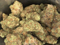 top-quality-buds-for-adults-small-0
