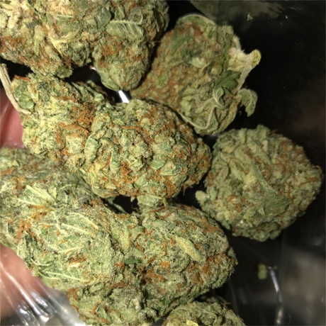 top-shelf-medical-cannabis-available-for-interested-persons-big-0