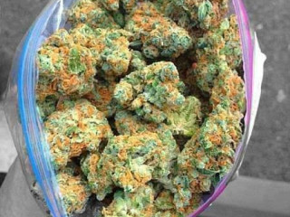 TOP QUALITY INDOOR BUDS AVAILABLE AT VERY AFFORDABLE PRICE.