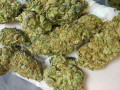 good-cannabis-small-0