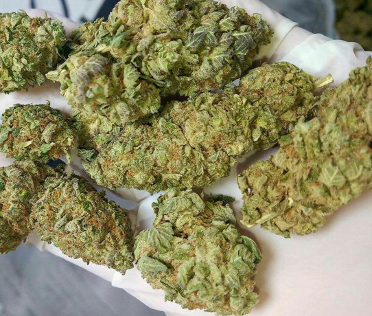 good-cannabis-big-0