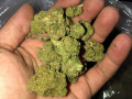 order-high-quality-strains-online-small-0