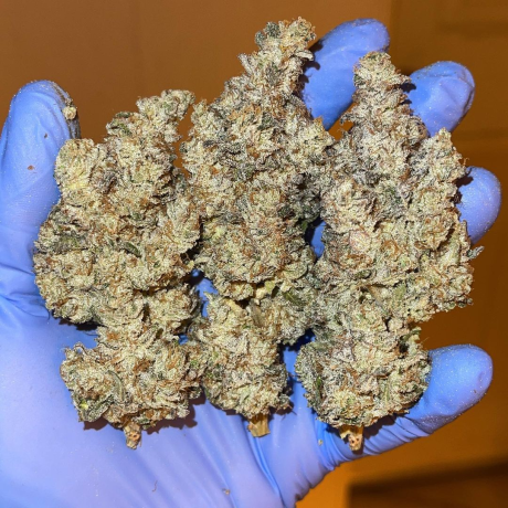 top-shelf-grade-a-medical-marijuana-big-4