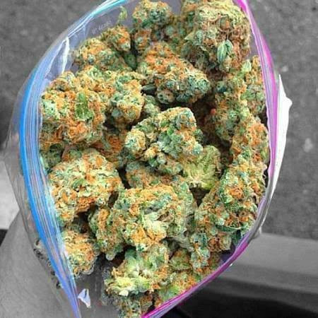 quality-cannabis-strain-units-on-deck-big-0