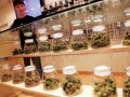 indoor-top-shelf-recreational-cannabis-small-0