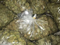 order-top-shelf-cannabis-and-get-fast-home-delivery-small-0