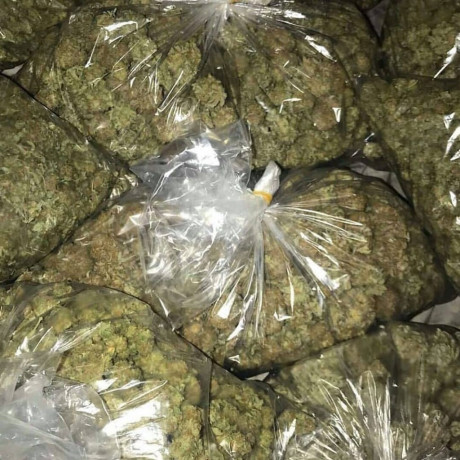 order-top-shelf-cannabis-and-get-fast-home-delivery-big-0
