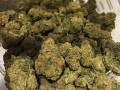 only-serious-buyers-on-some-real-loud-grade-a-buds-online-small-0