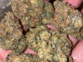 top-shelf-quality-buds-for-adults-small-0