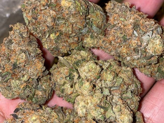 Top shelf quality buds for adults