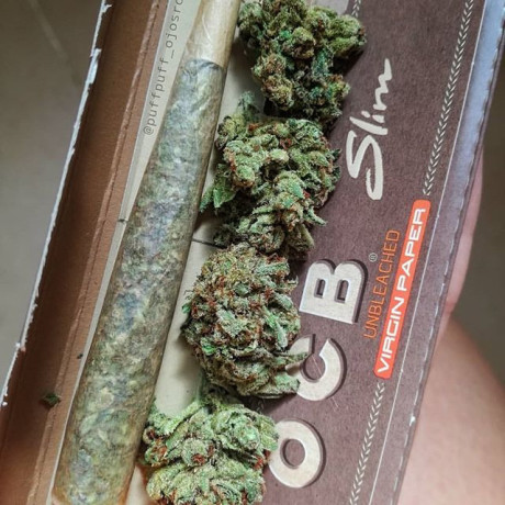top-quality-indoor-buds-available-at-very-affordable-price-big-0