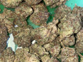 top-shelf-medical-cannabis-available-for-interested-persons-small-0