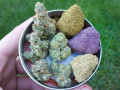 super-high-quality-flowerbud-mmj-for-p-customerspatients-small-0