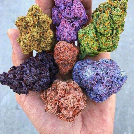 top-grade-a-rainbow-strains-at-dthc-dispensary-front-store-seeds-available-big-0