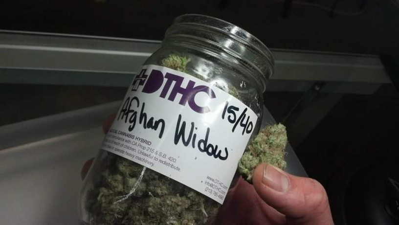 dthc-dispensary-front-store-budmmj-seeds-available-big-0