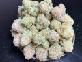 dthc-store-super-high-quality-flowerbud-mmj-for-p-customerspatients-small-2