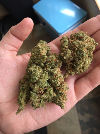 buy-quality-cannabis-strains-at-good-prices-big-0