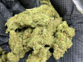 high-quality-medical-strains-small-2