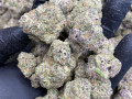 high-quality-medical-strains-small-0
