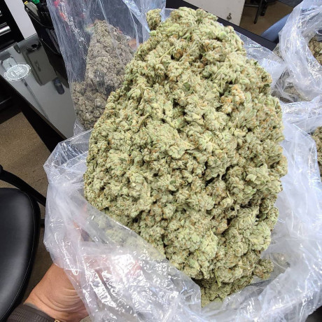 top-grade-medical-marijuana-available-big-0