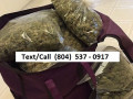 indicasativa-and-top-hybrid-strains-available-small-1