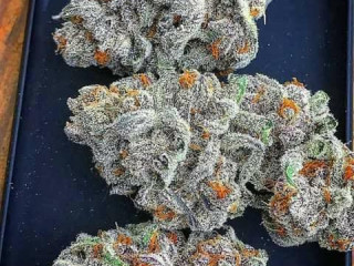 Buy Top shelf Bud And get fast home delivery
