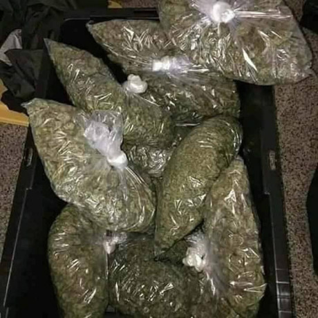 buy-top-shelf-bud-and-get-fast-home-delivery-big-1