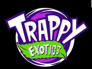 Trappy Exotics Cannabis