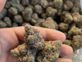 cannabis-strain-of-the-day-northern-lights-small-0