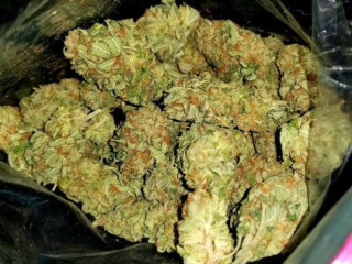 Buy Top quantity Marijuana strains