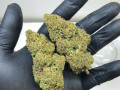 indoor-buds-available-at-very-affordable-price-small-0