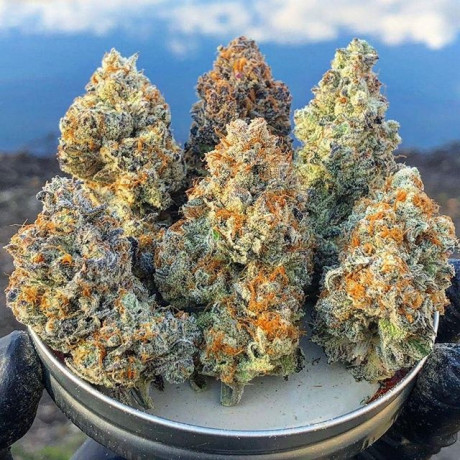 buy-indoor-available-girl-scout-cookiesour-og-big-0