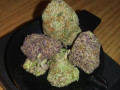 top-quality-indoor-buds-available-small-0