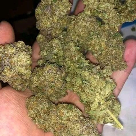 medical-marijuana-big-1