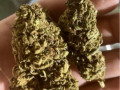 top-quality-marijuana-available-small-0