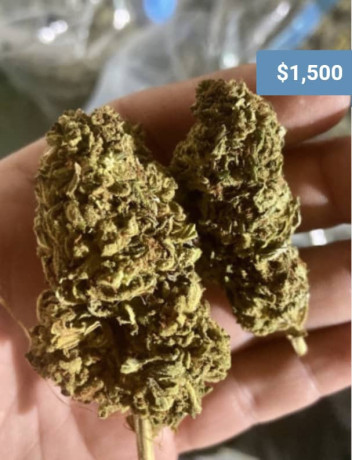 top-quality-marijuana-available-big-0