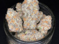 quality-cannabis-available-for-sale-small-1