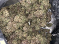 good-quality-marijuana-available-small-0