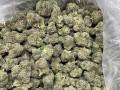 premium-cannabis-and-seeds-small-0