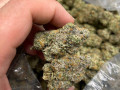 top-quality-buds-houston-small-1