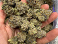 top-quality-buds-houston-small-0