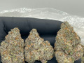 best-quality-buds-small-1