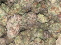 best-quality-buds-small-4