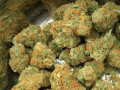 marijuana-for-sell-small-0