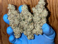 buy-top-grade-medical-marijuana-and-cannabis-small-1
