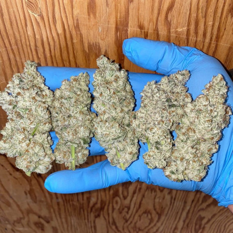 buy-top-grade-medical-marijuana-and-cannabis-big-0