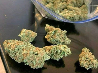 Quality cannabis