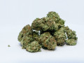 what-are-the-facts-about-marijuana-dispensaries-small-0