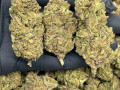 good-cannabis-for-sell-small-0