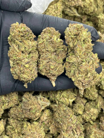 good-cannabis-for-sell-big-0